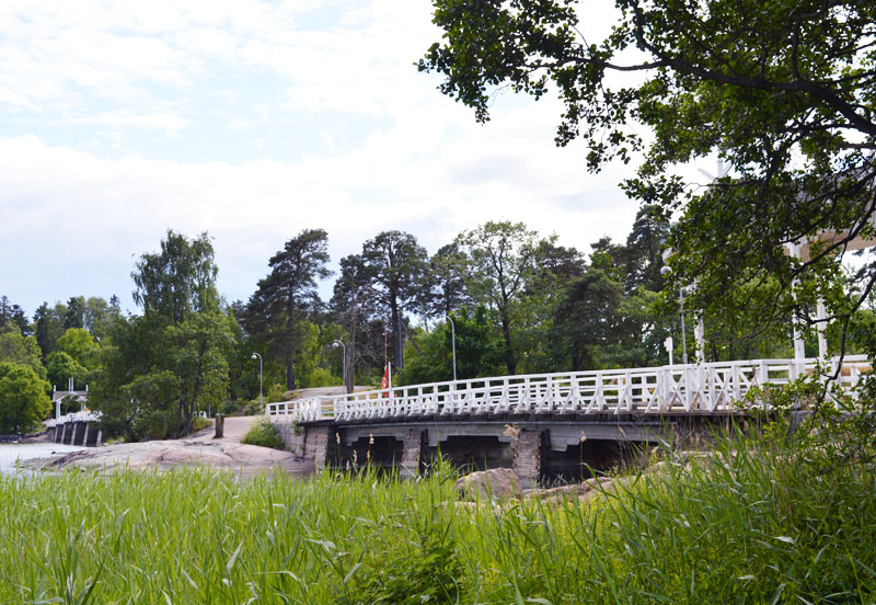 Pääkaupungin juhannussaari on lintujen paraatipaikka | Retkihetki